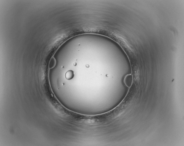 X0000115690687200911251813