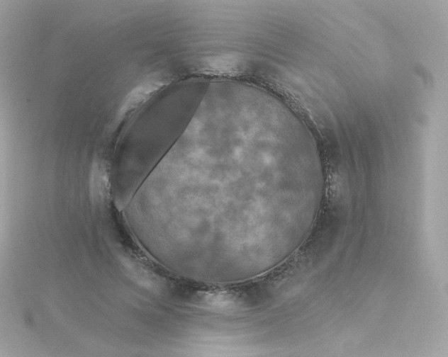 X0000115690688200911251813