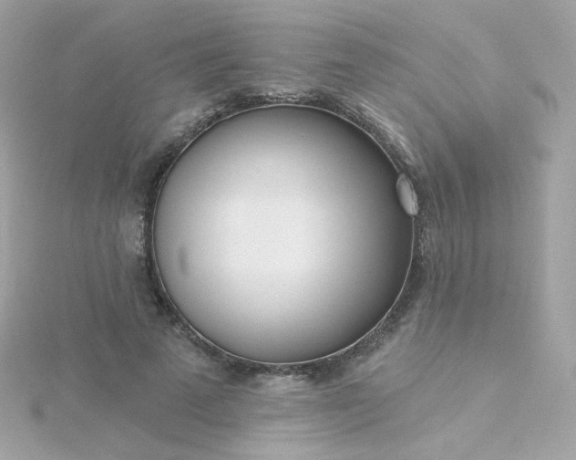 X0000115690689200911251813