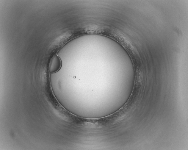 X0000115690690200911251813