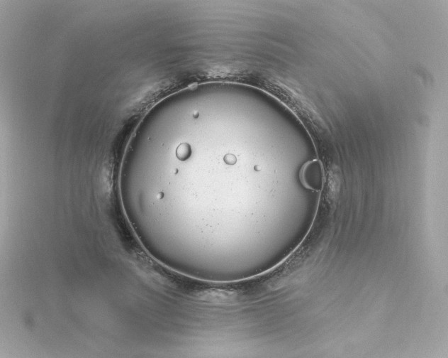 X0000115690691200911251813