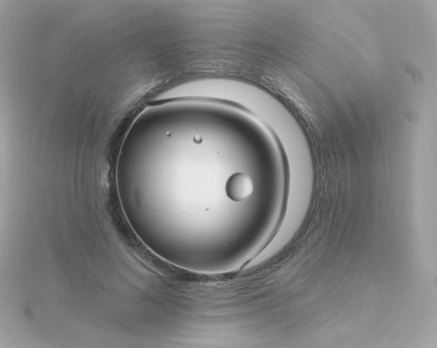 X0000115690692200911251813