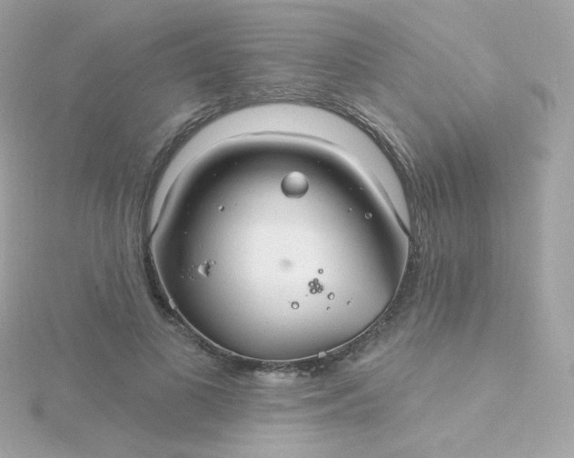 X0000115690693200911251813