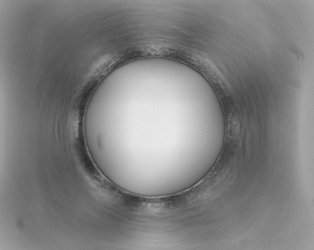 X0000115690694200911251813