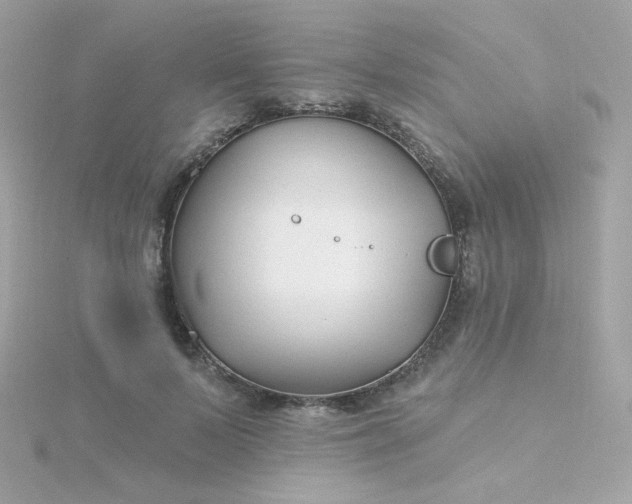 X0000115690695200911251813