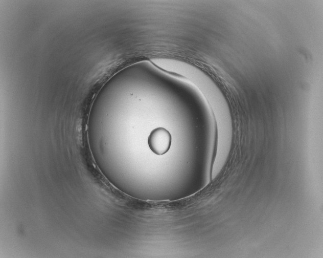 X0000115690696200911251813