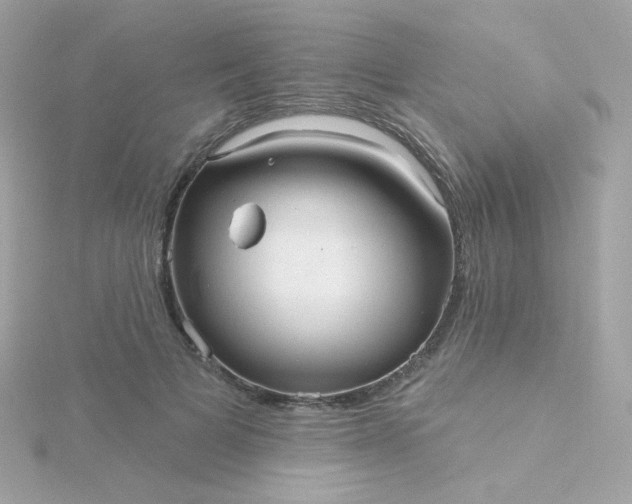 X0000115690697200911251813