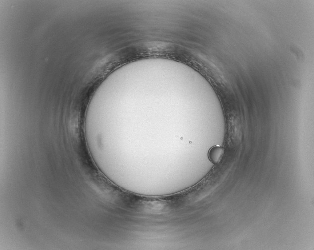 X0000115690698200911251813