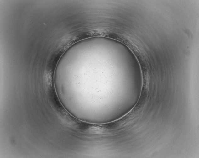 X0000115690699200911251813