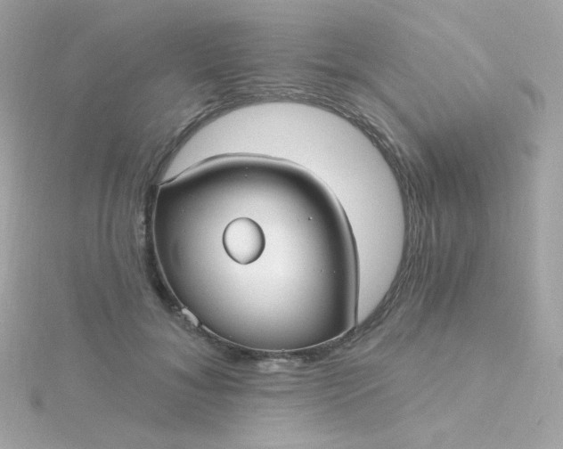 X0000115690700200911251813