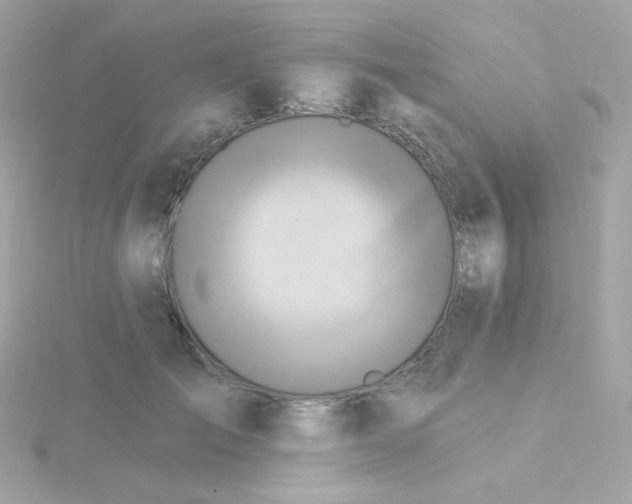 X0000115690701200911251813