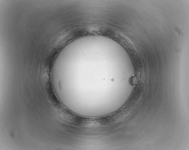 X0000115690702200911251813