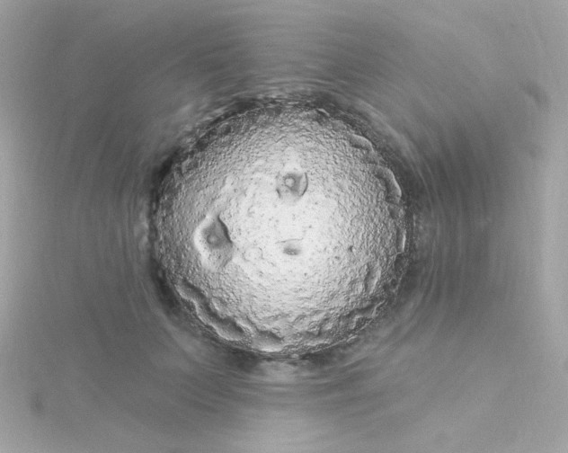 X0000115690703200911251813