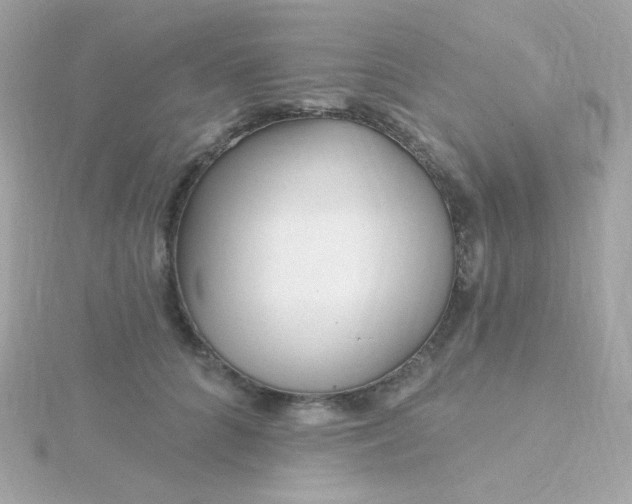 X0000115690704200911251813