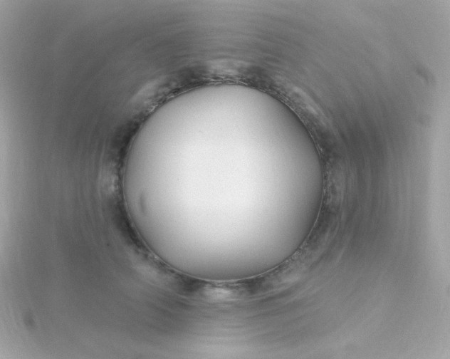 X0000115690706200911251813