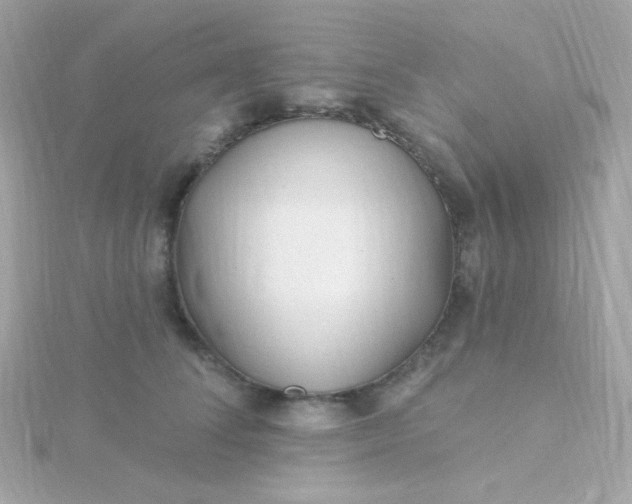 X0000115690708200911251813