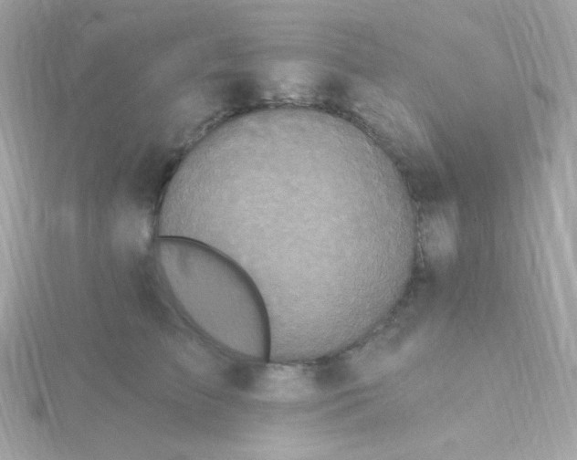 X0000115690709200911251813