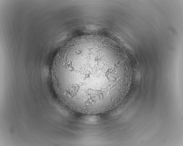 X0000115690711200911251813