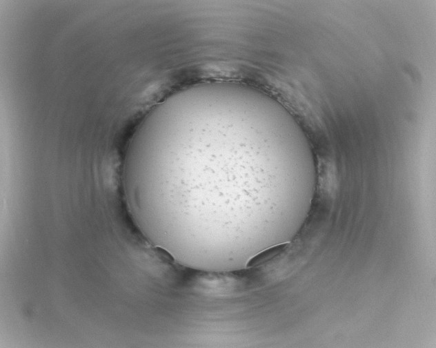 X0000115690712200911251813