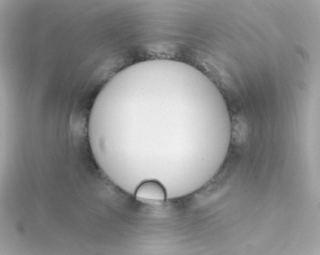 X0000115690713200911251813