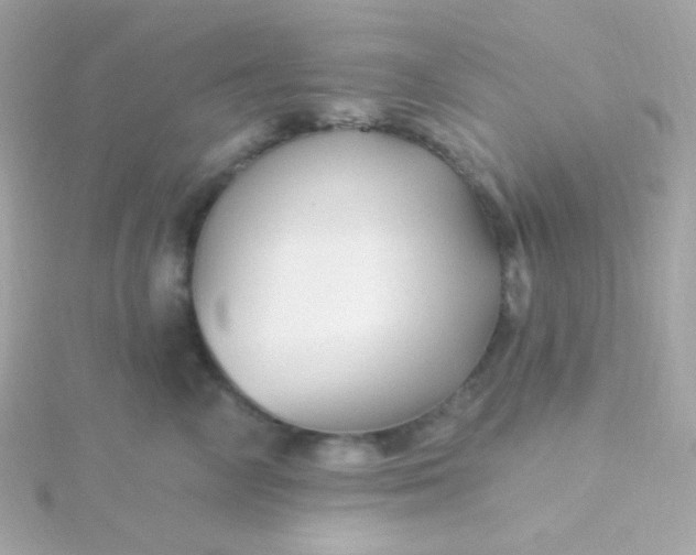 X0000115690714200911251813