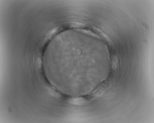 X0000115690716200911251813