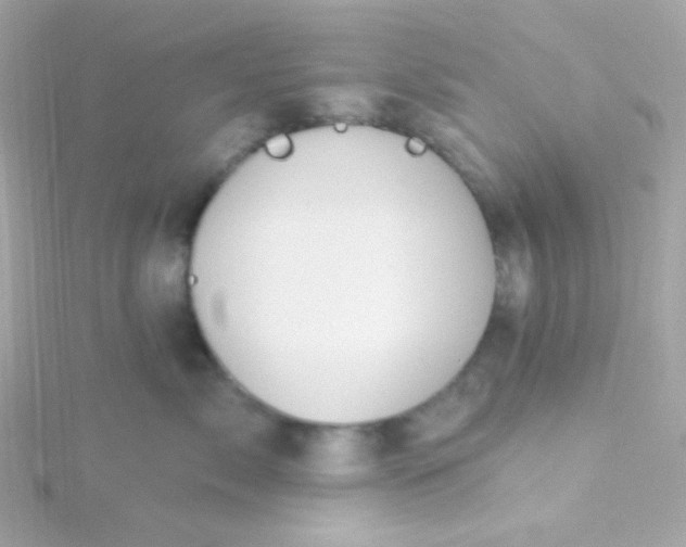 X0000115690717200911251813