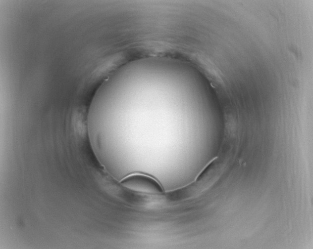 X0000115690719200911251813