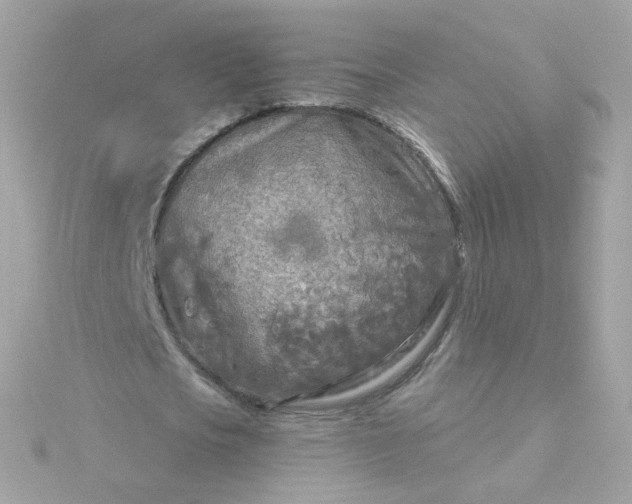 X0000115690721200911251812