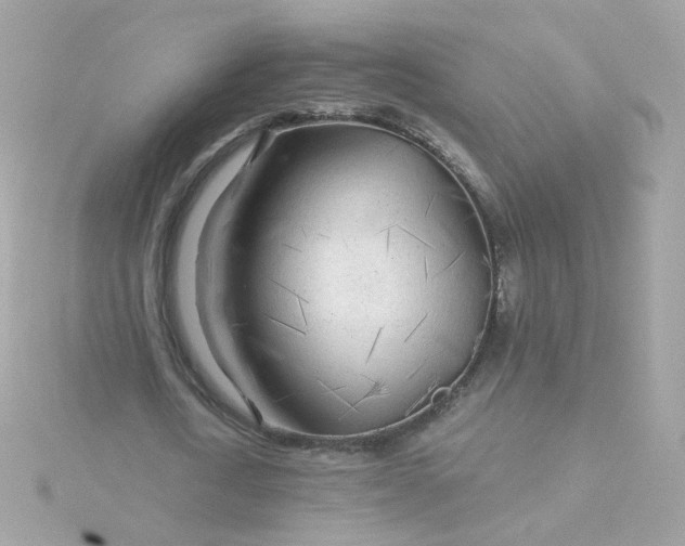 X0000115690722200911251812