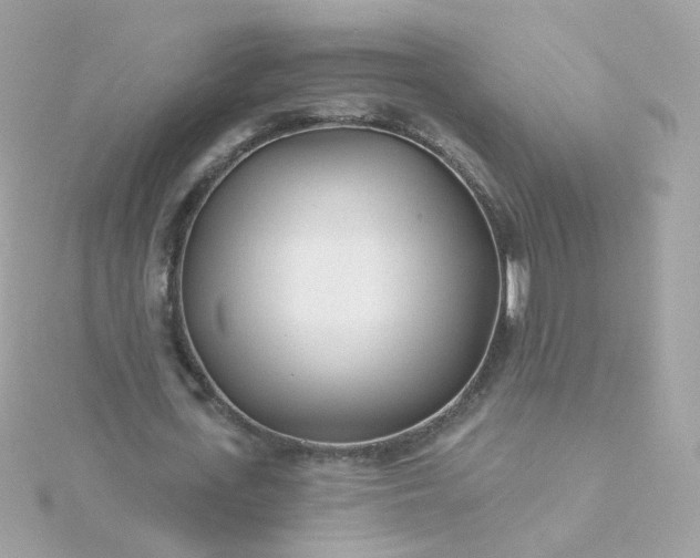 X0000115690723200911251812