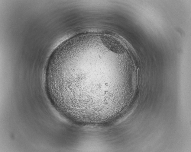 X0000115690725200911251812