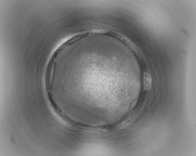 X0000115690726200911251812