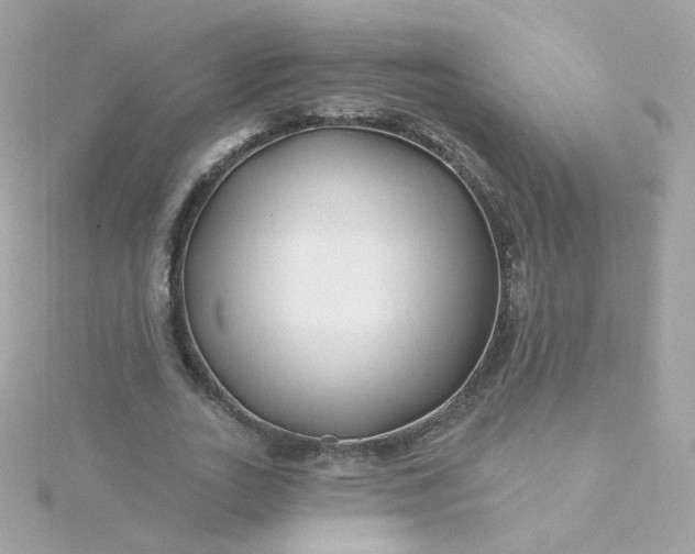 X0000115690727200911251812