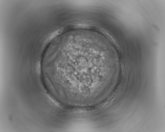 X0000115690729200911251812