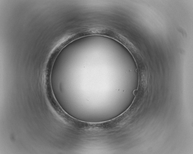 X0000115690730200911251812