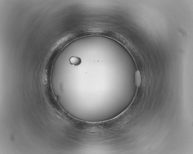 X0000115690731200911251812