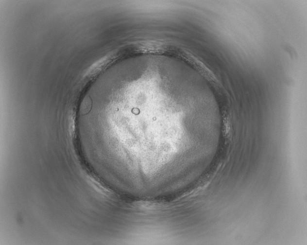 X0000115690733200911251812