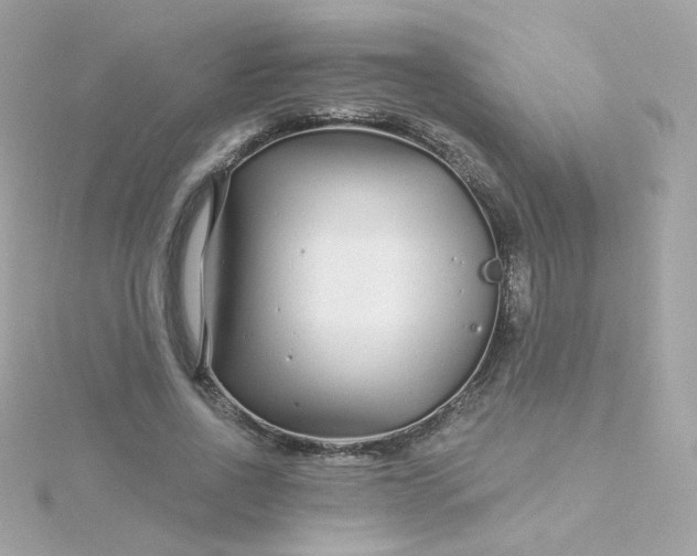 X0000115690734200911251812