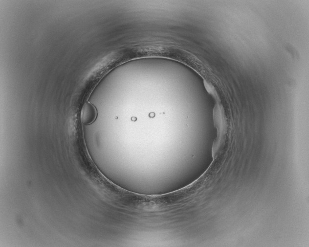 X0000115690735200911251812