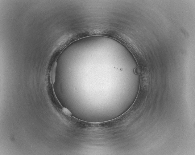 X0000115690738200911251812