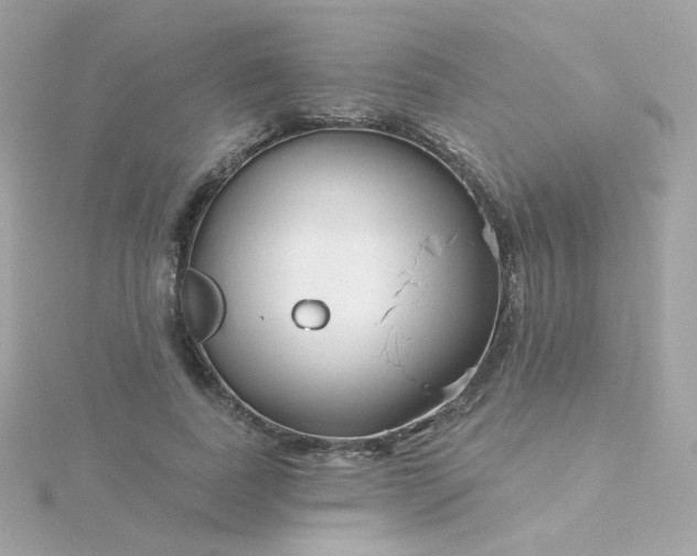 X0000115690739200911251812