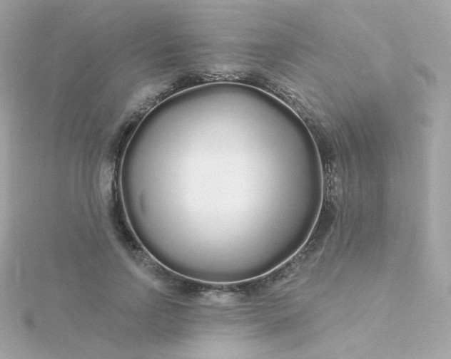 X0000115690742200911251812