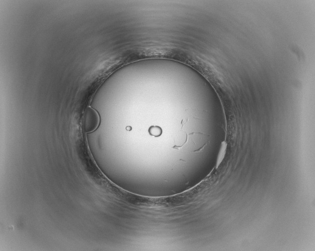 X0000115690743200911251812