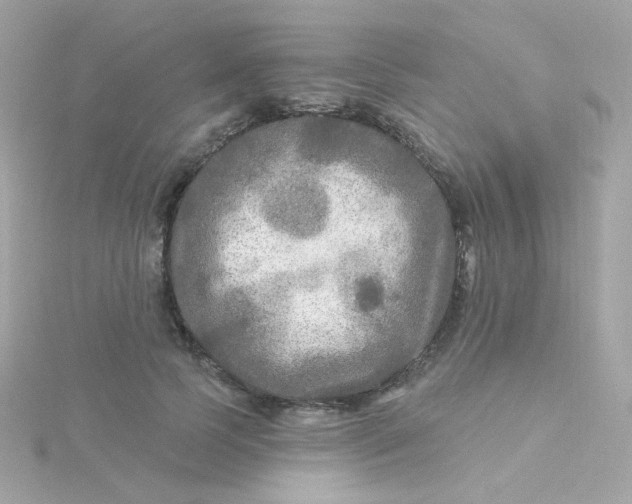 X0000115690745200911251812