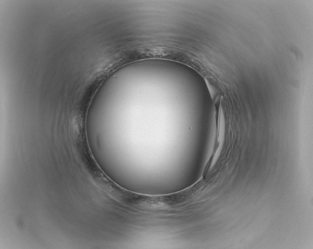 X0000115690747200911251812