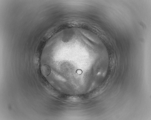 X0000115690749200911251812