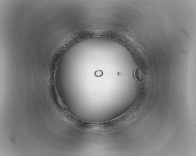 X0000115690750200911251812