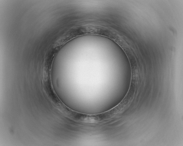 X0000115690751200911251812