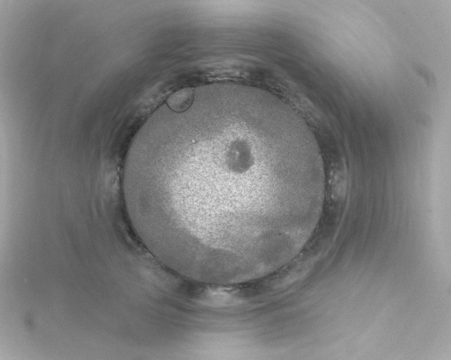 X0000115690753200911251813